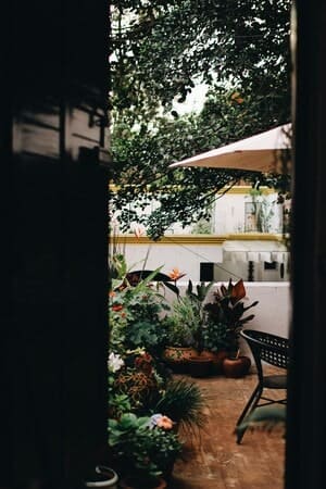 About-Image2