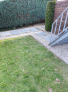 Client-Pic